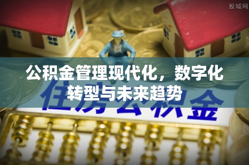 赤水公积金管理现代化，数字化转型与未来趋势