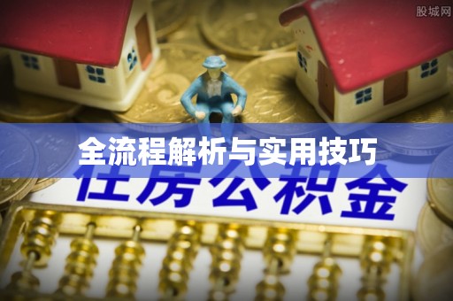 赤水全流程解析与实用技巧
