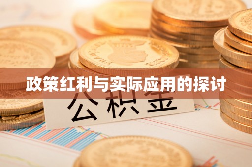 赤水政策红利与实际应用的探讨