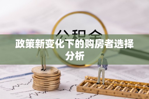 赤水政策新变化下的购房者选择分析