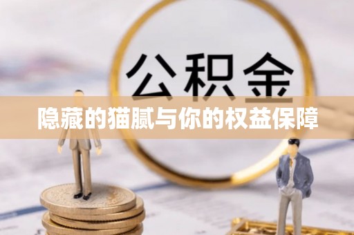 赤水隐藏的猫腻与你的权益保障