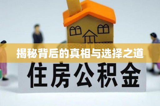 赤水揭秘背后的真相与选择之道
