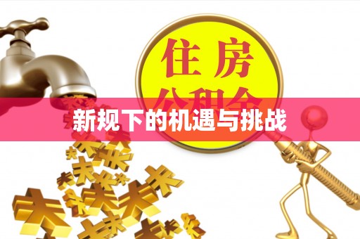 赤水新规下的机遇与挑战