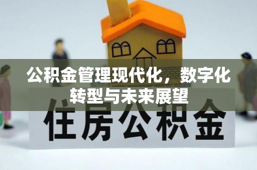 赤水公积金管理现代化，数字化转型与未来展望