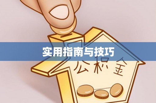 赤水实用指南与技巧