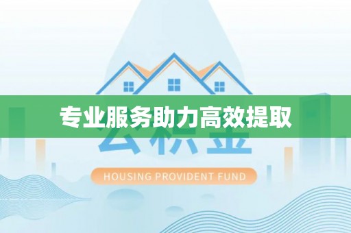 赤水专业服务助力高效提取