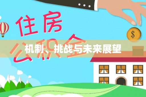 赤水机制、挑战与未来展望