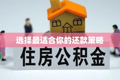 赤水选择最适合你的还款策略