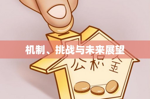 赤水机制、挑战与未来展望