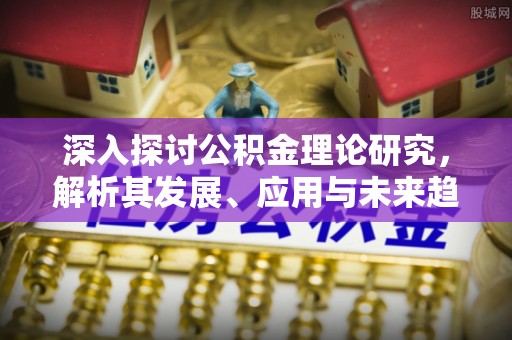 赤水深入探讨公积金理论研究，解析其发展、应用与未来趋势