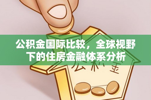 赤水公积金国际比较，全球视野下的住房金融体系分析