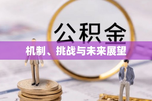 赤水机制、挑战与未来展望